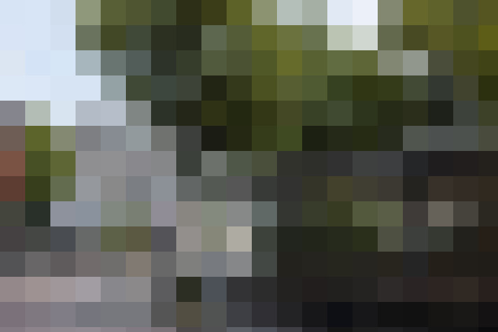 Image 23