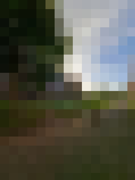 Image 29