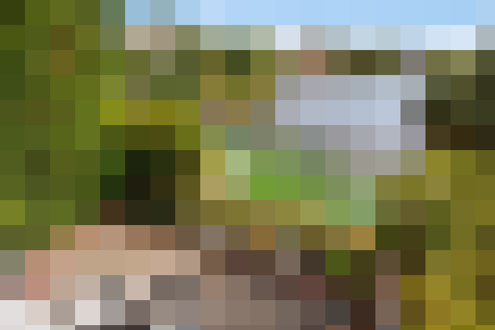 Image 17