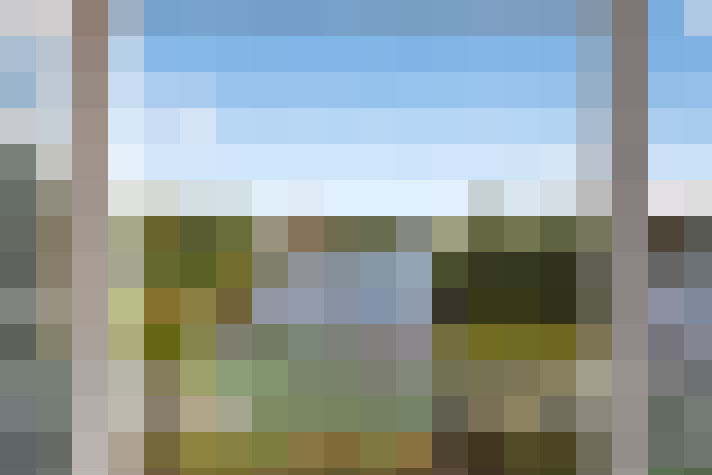 Image 16