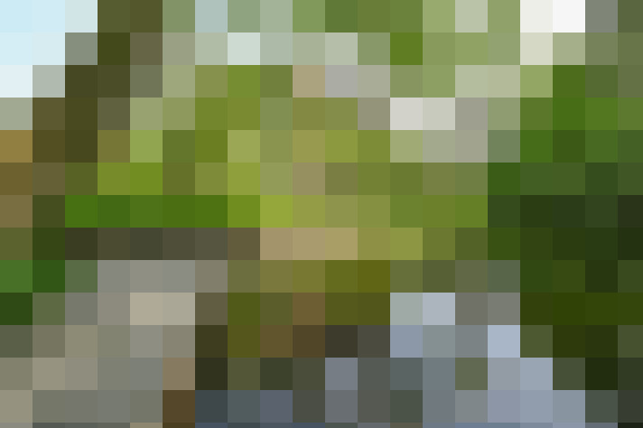 Image 23