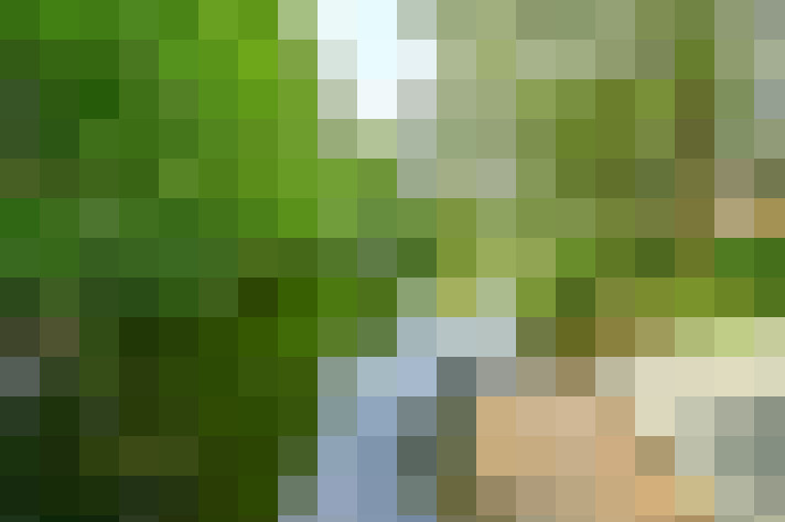 Image 24