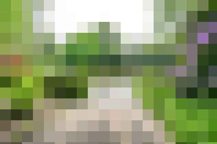 Image 25