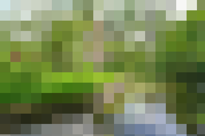 Image 22