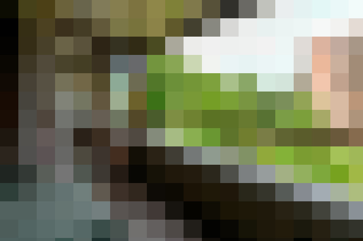 Image 13