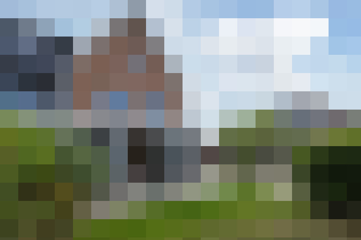 Image 14