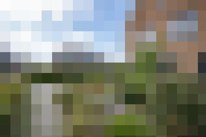 Image 40