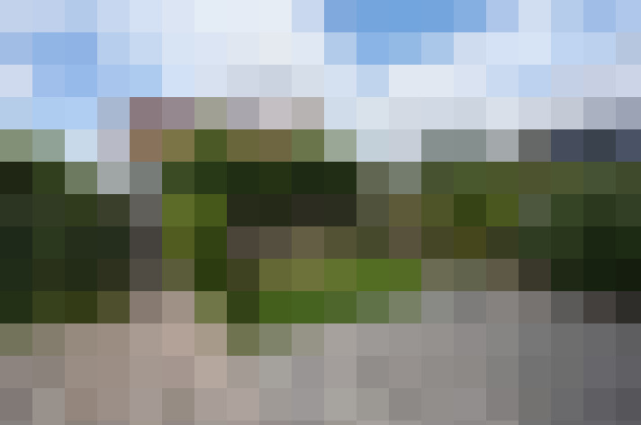 Image 41