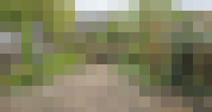 Image 27