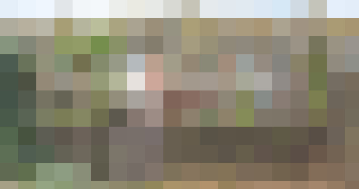 Image 29