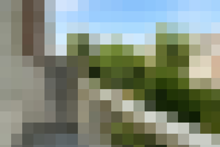 Image 22