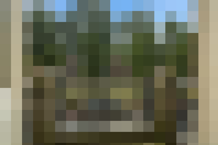 Image 24