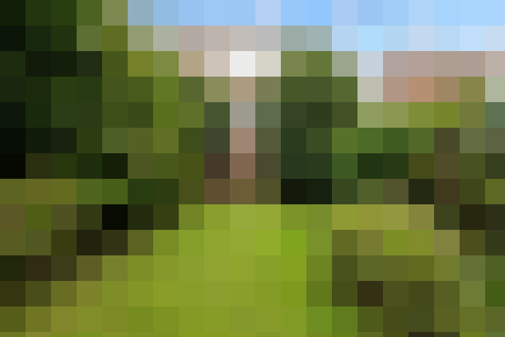 Image 15