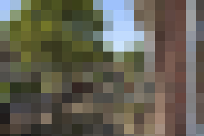 Image 18