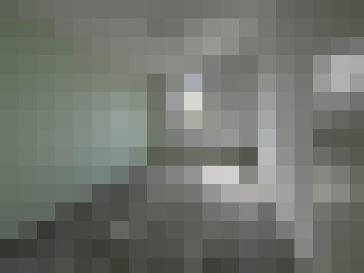 Image 18
