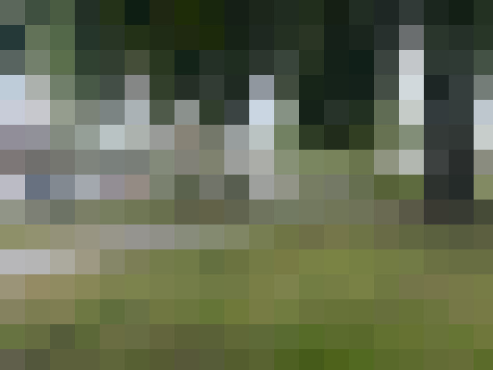 Image 27