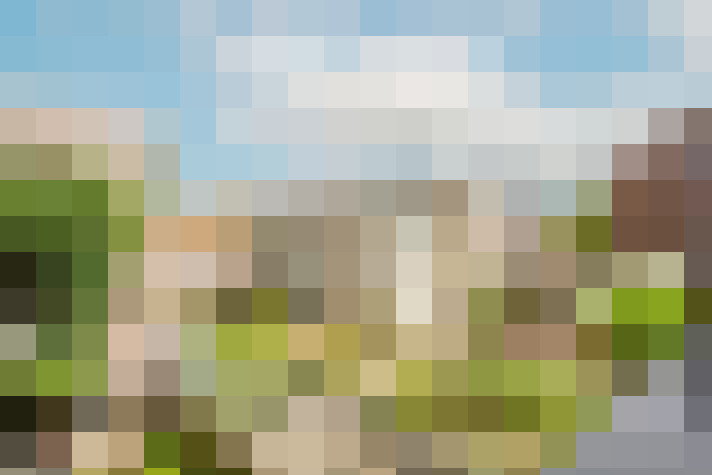 Image 38