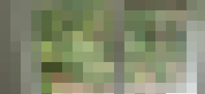 Image 23