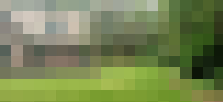 Image 30