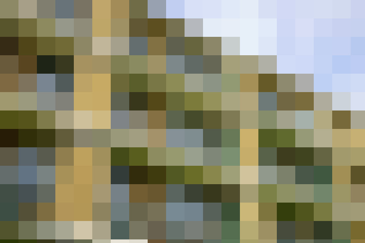 Image 20