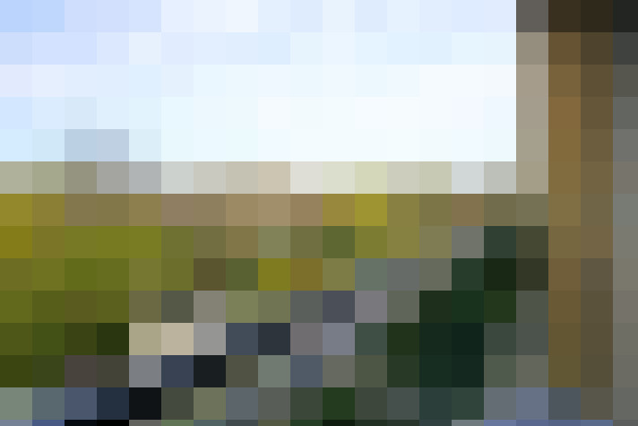 Image 15