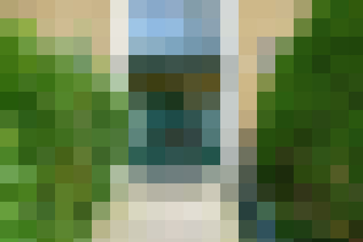 Image 16