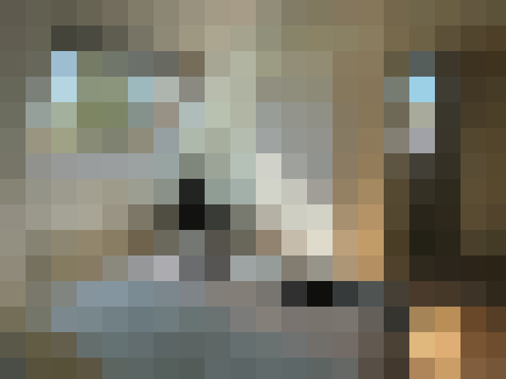 Image 17