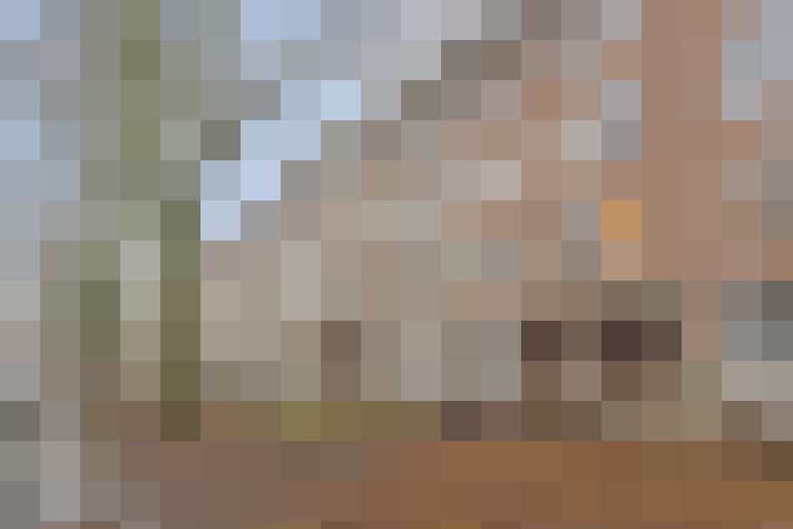 Image 15