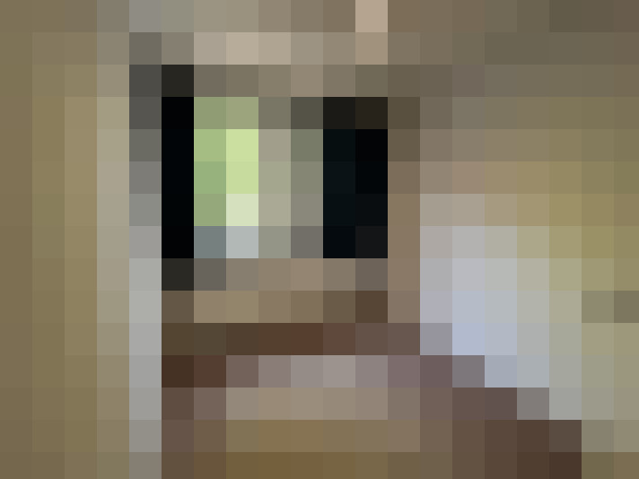 Image 20