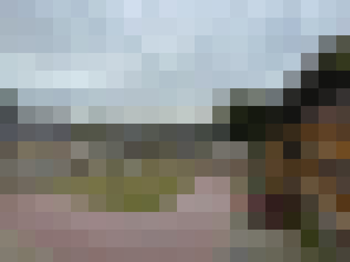 Image 14