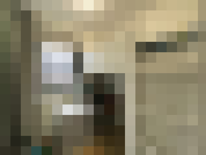 Image 13