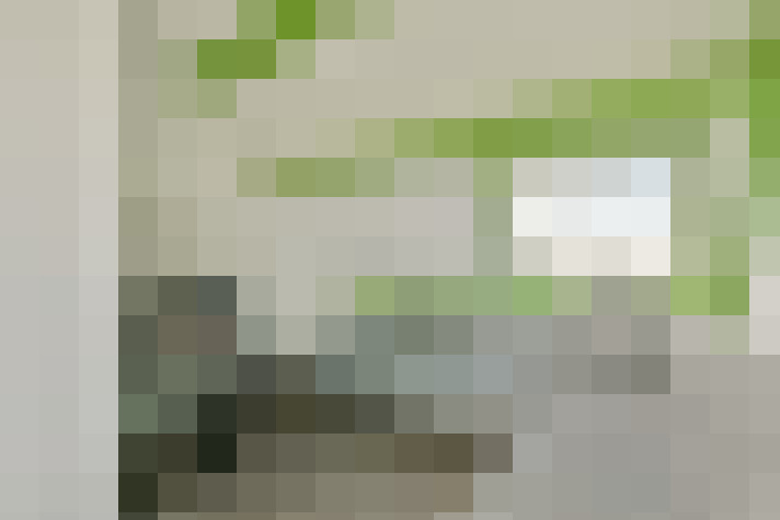 Image 25
