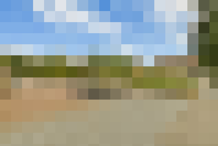 Image 31