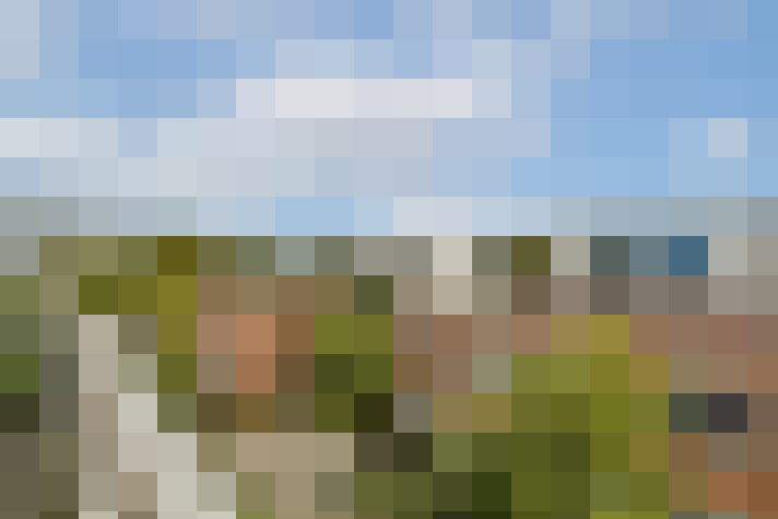 Image 29