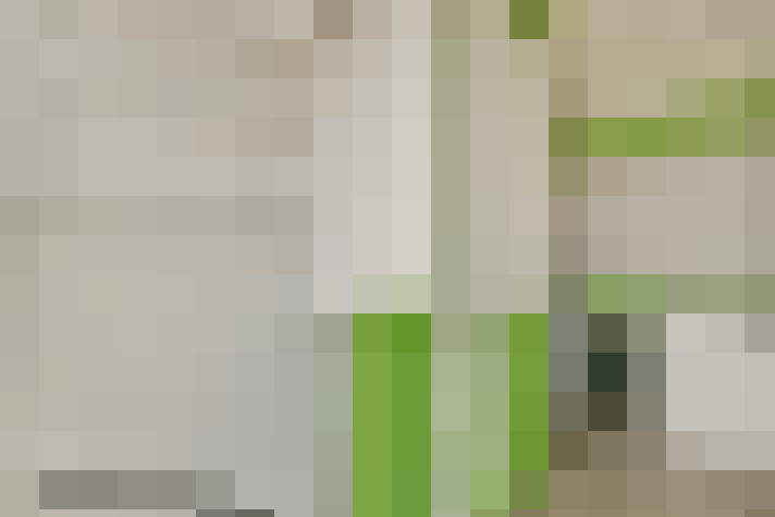 Image 23