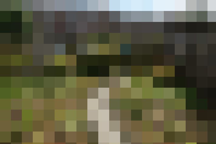 Image 15