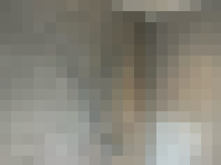 Image 22