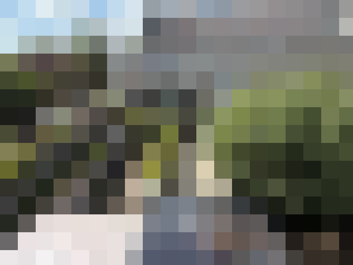 Image 36