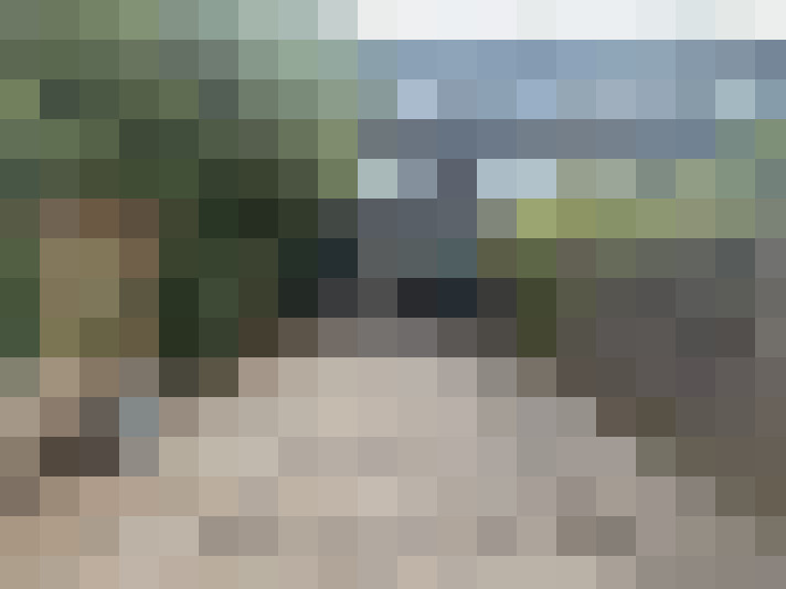 Image 42