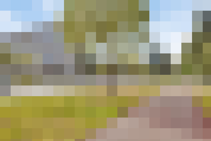 Image 21