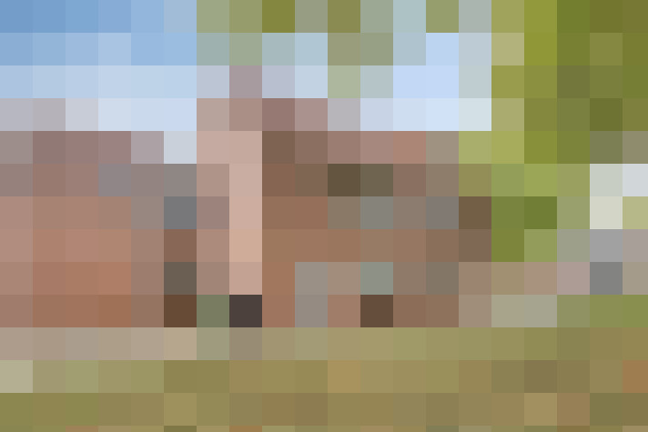 Image 31