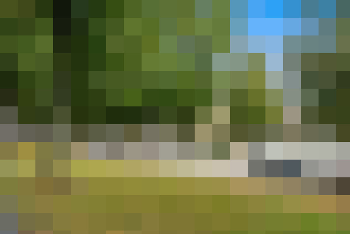 Image 20