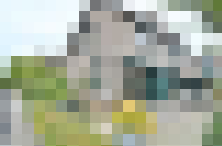 Image 23