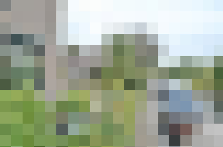 Image 25