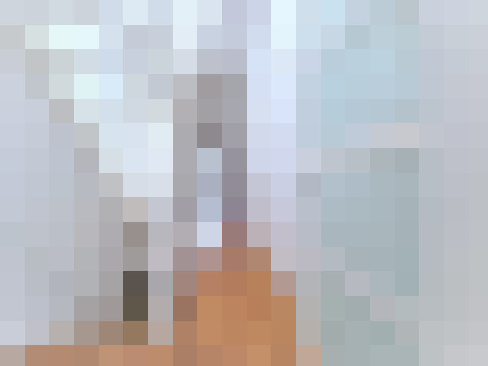Image 49
