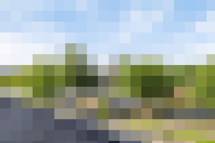 Image 23