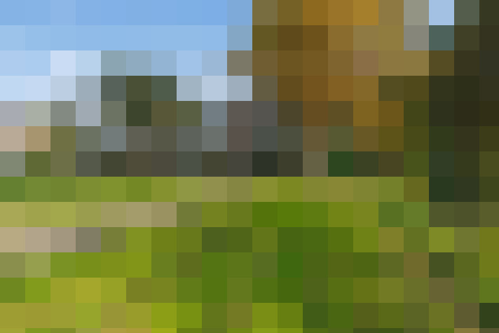 Image 72