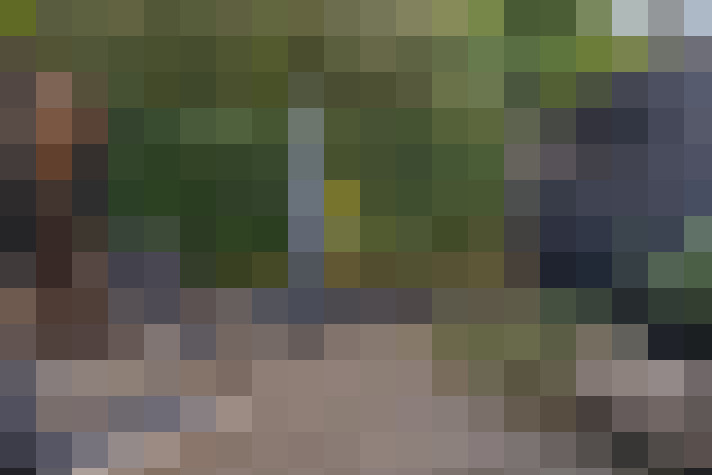 Image 37