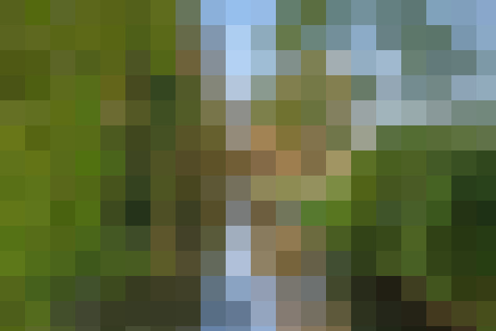 Image 71