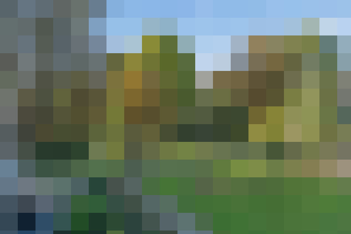 Image 59